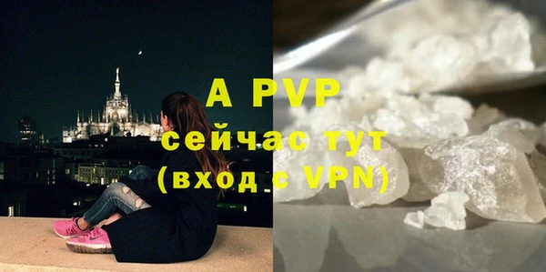 ГАЛЛЮЦИНОГЕННЫЕ ГРИБЫ Богородицк