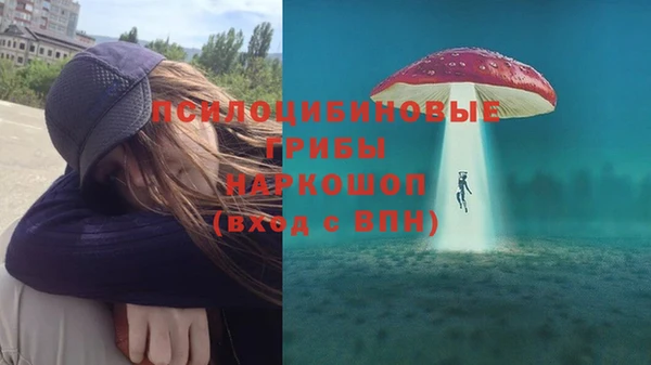 мет Богданович