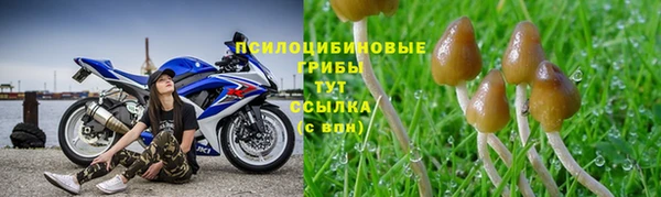 мет Богданович